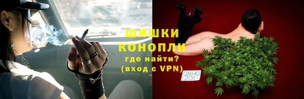гашик Корсаков