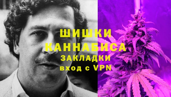 гашик Корсаков
