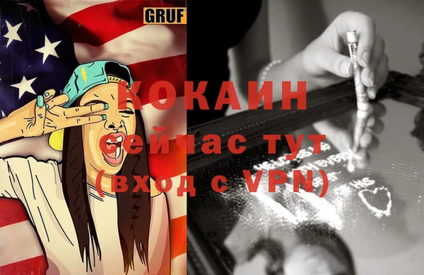 гашик Корсаков