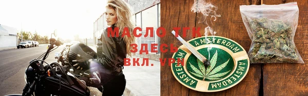 гашик Корсаков