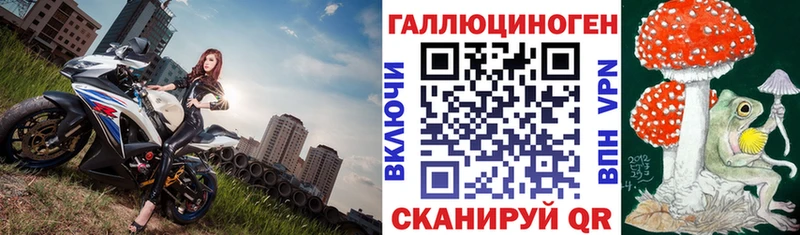 Галлюциногенные грибы Psilocybine cubensis  Купить где  Тимашёвск 